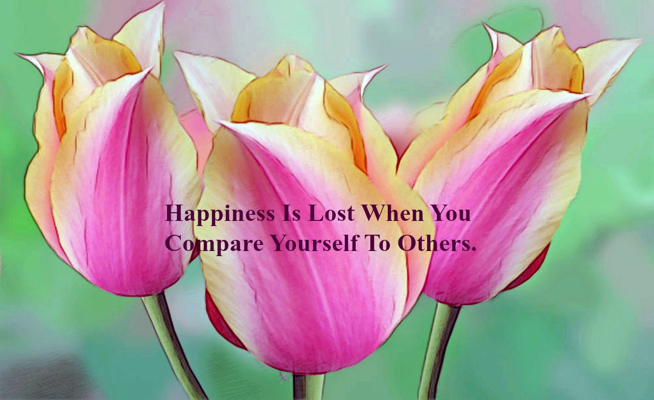 Happiness Is Lost When You Compare Yourself To Others. - Deborah Byrne ...
