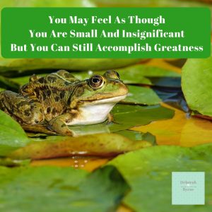 You May Feel As Though You Are Small And Insignificant But You Can ...