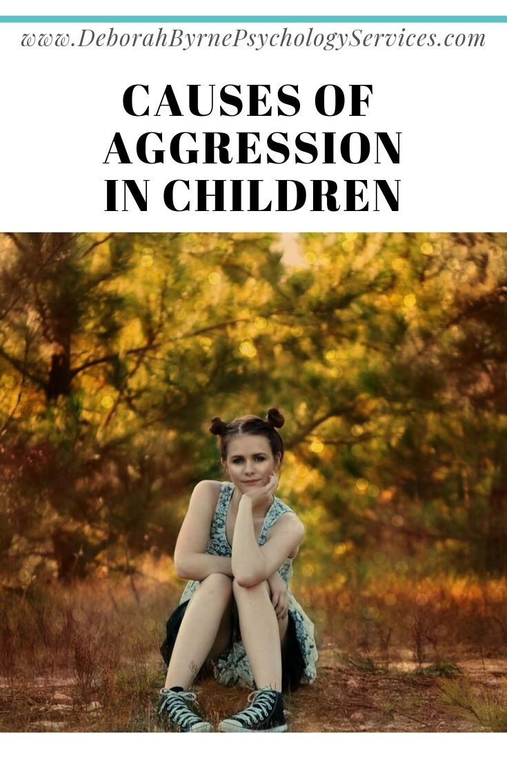 Understanding Aggression In Children - Deborah Byrne Psychology Services